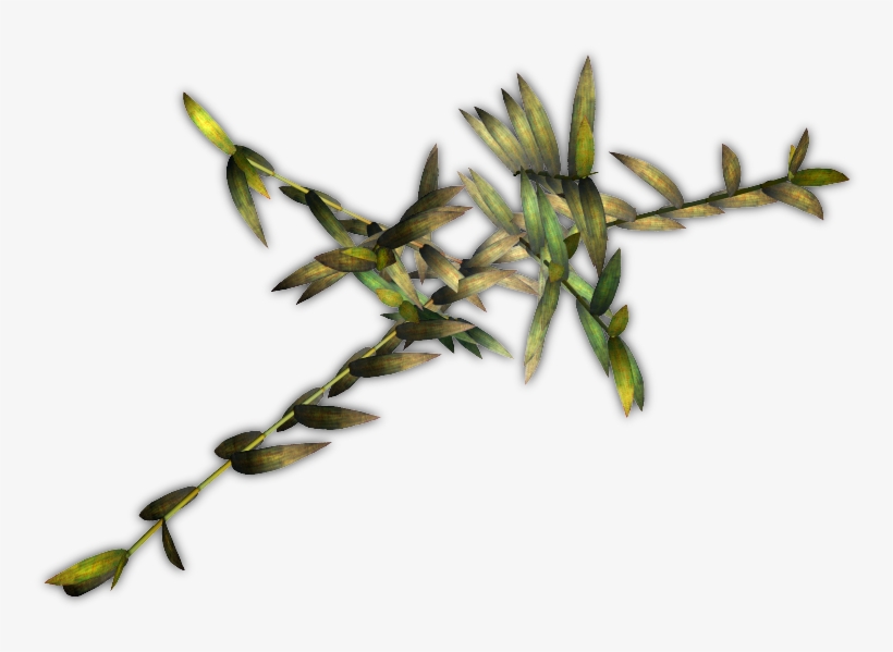 Bamboo Jcd H 06 Feb 2009 - Twig, transparent png