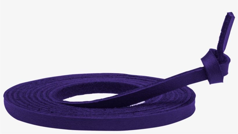 Mizuno Replacement Ball Glove Lace Purple - Belt, transparent png