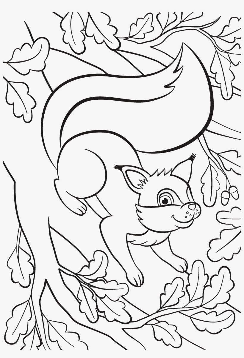 Gallery - Oak, transparent png