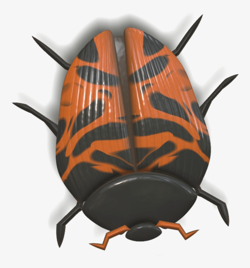 Ladybug Orange And Black Head Down - Ladybird Beetle, transparent png