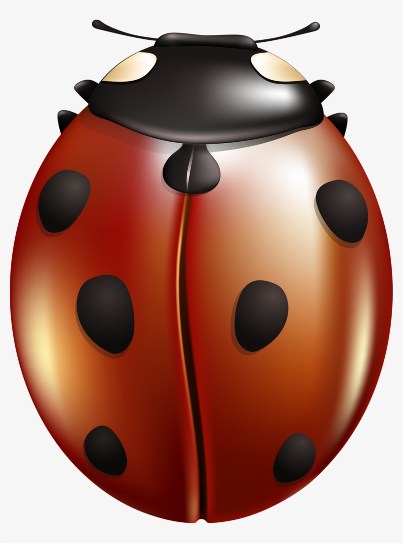 Shutterstock 291132983 [преобразованный], transparent png