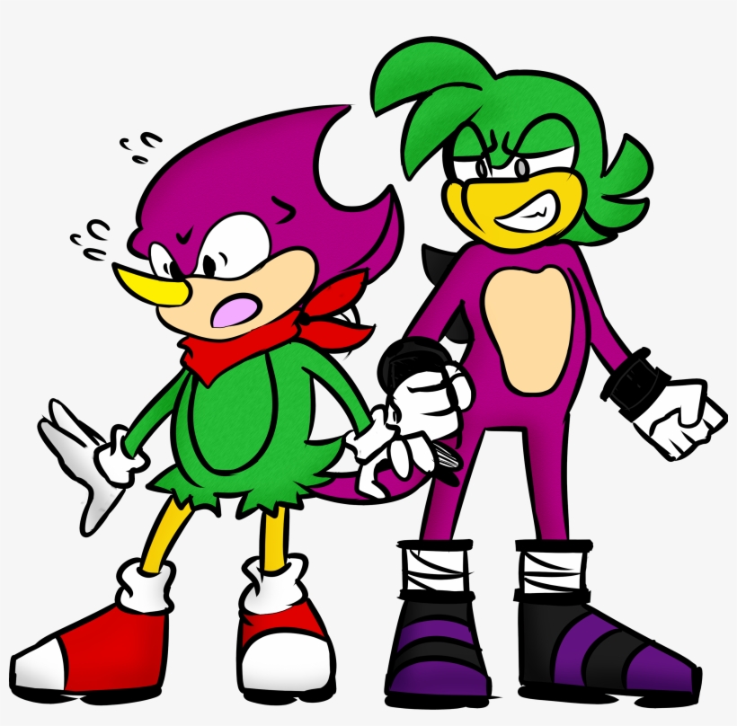 Matt And Nat Sonic Swap - Espio The Chameleon, transparent png