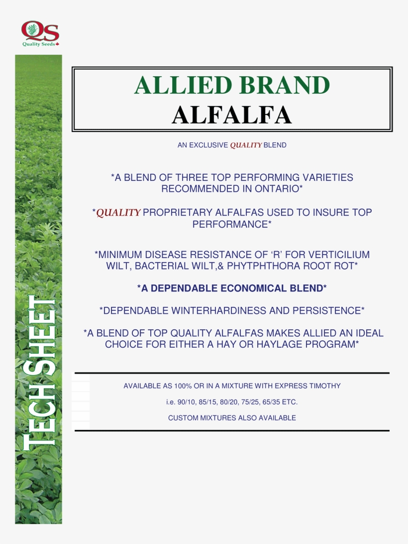 Allied Brand Alfalfa - Alfalfa, transparent png