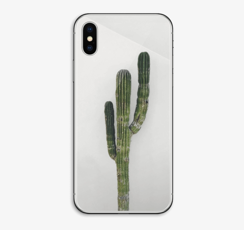 Mexican Cactus - Iphone Xs, transparent png