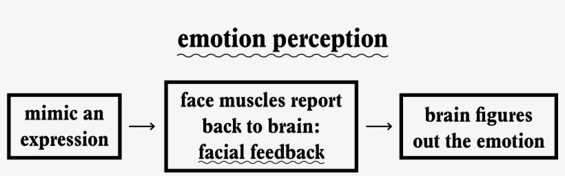 The First Two Steps Have Solid Support From Past Research - Circle, transparent png