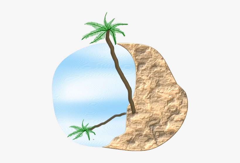 Original Png Clip Art File Palm Beach Svg Images Downloading, transparent png