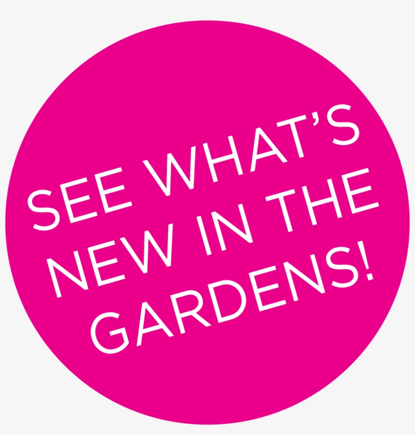 Take A Look At What's Going On In The Gardens This, transparent png