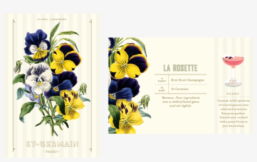Flower Pres-04 - Pansy Botanical Print, transparent png