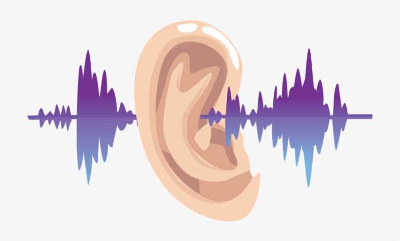 Ginkgo Biloba - Hearing Loss, transparent png