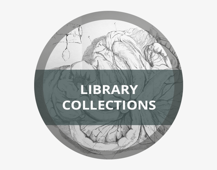 Browse - Library, transparent png