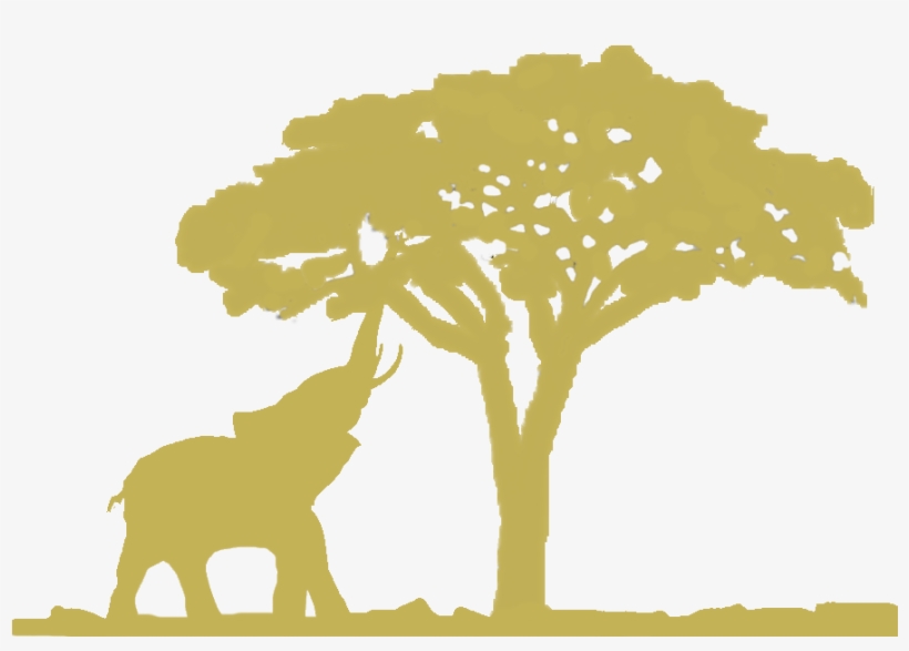 Come And Explore With Us The Enchantment That Is Maniago's - Silhouette, transparent png