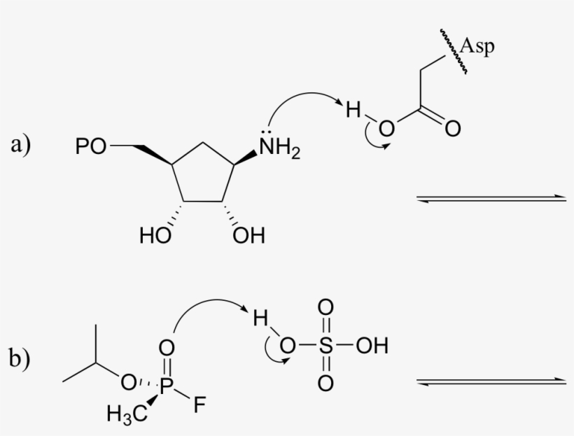 Image012 - Portable Network Graphics, transparent png