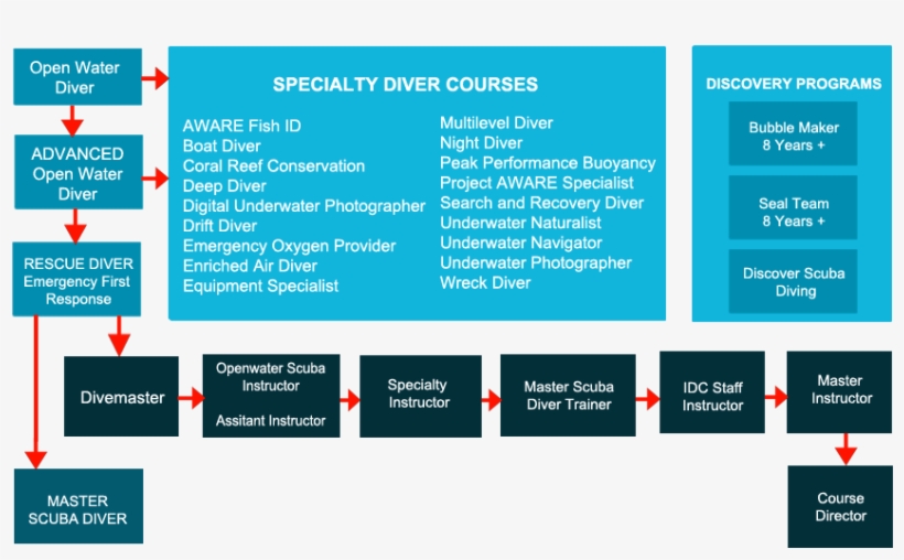 Our Learn To Dive Programs Are Listed Below - Padi Dive Courses, transparent png