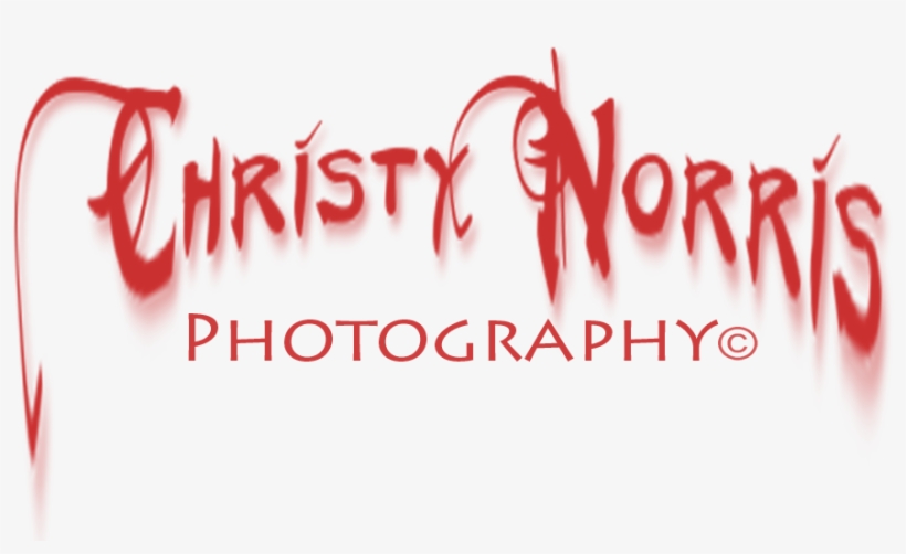 Christy Norris Photography Facebook, transparent png