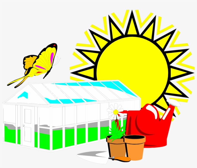 Free Stock Photos - Add Butterfly Throw Blanket, transparent png