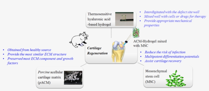 Acm Strategy - Strategy, transparent png