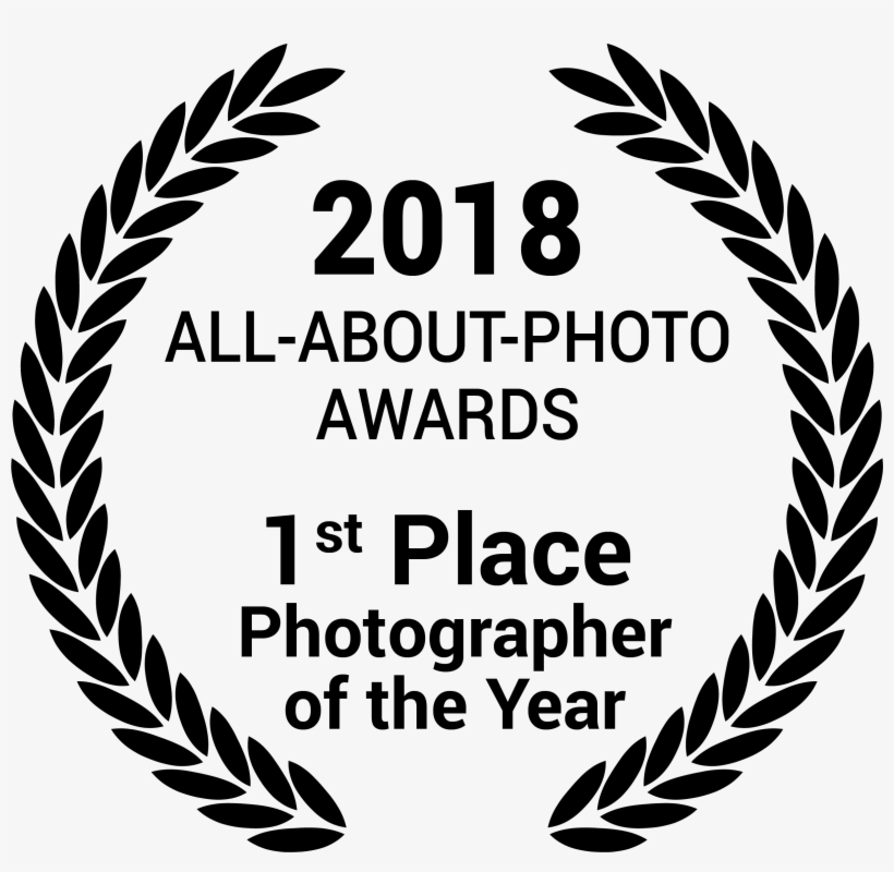 All About Photo Awards 2018 - Laurel Vector, transparent png