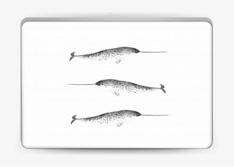 Narwhale Skin Laptop, transparent png