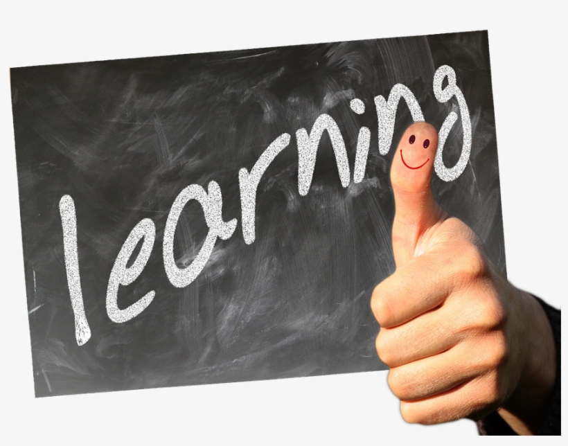 Web Training Courses - Imagenes De Gorditas Positivas Frases, transparent png