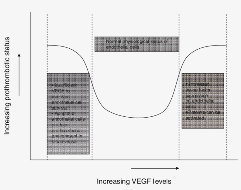 Relationship Between Vegf Concentration And Prothrombotic, transparent png