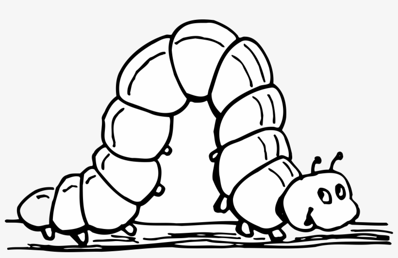 Inchworm - Inchworm Black And White, transparent png