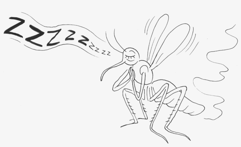 Mosquitoes Produce Very Specific Buzzing Sounds, Or - Line Art, transparent png