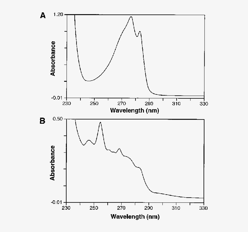 Before Removal Of Triton X - Diagram, transparent png