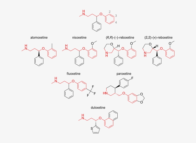 Aryloxypropanamine Scaffold - Congo Red Degradation Mechanism, transparent png