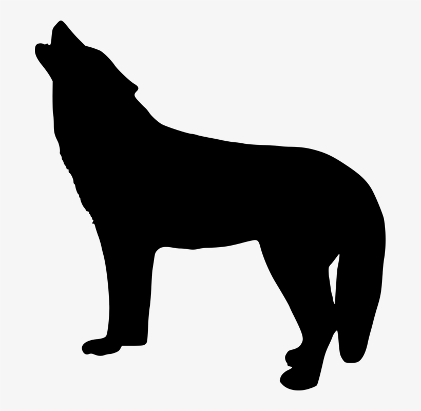 Silhouette, Wolf, Howling, Art, Wild, Animal, Nature - Silhouetten Wolf, transparent png