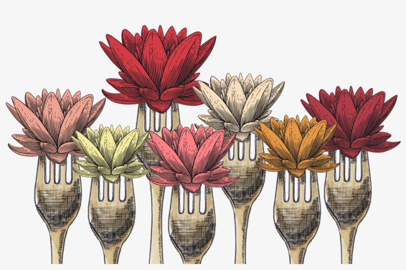 Thank You For A Great Edible Lotus - African Daisy, transparent png