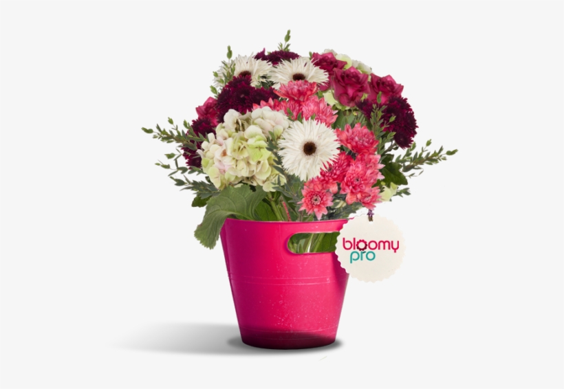 Join The Power Of Visualization And Integration Of, transparent png