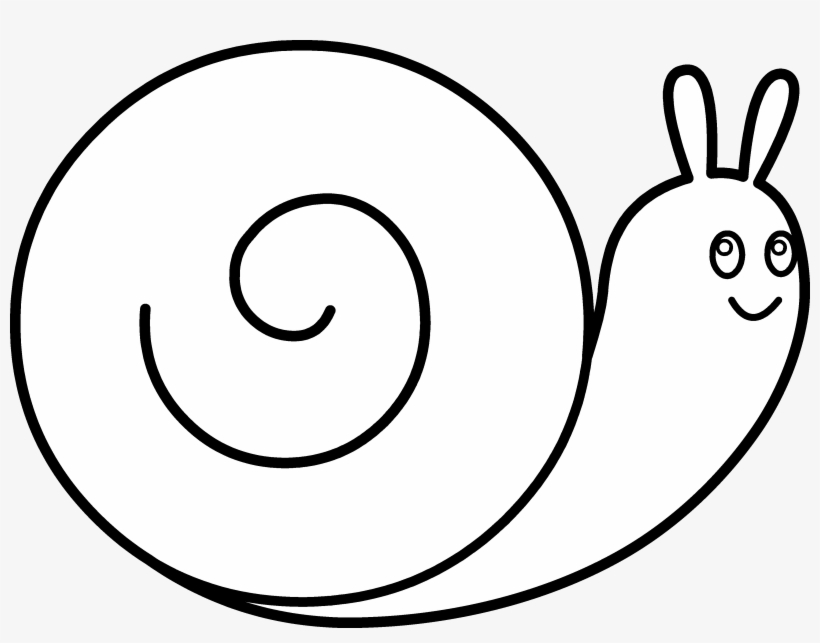 Mollusc Clipart Cookie - Insect, transparent png