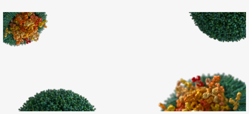 Header 2 - Evox Therapeutics Limited, transparent png