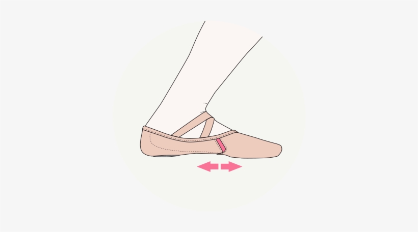 Demi Plié<br />when A Dancer Is In Demi Plié The Foot - Dinghy, transparent png