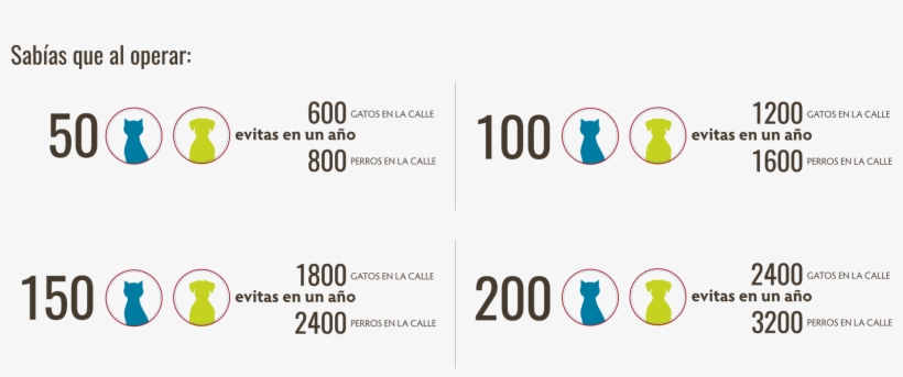 Sabias Que - Graphic Design, transparent png