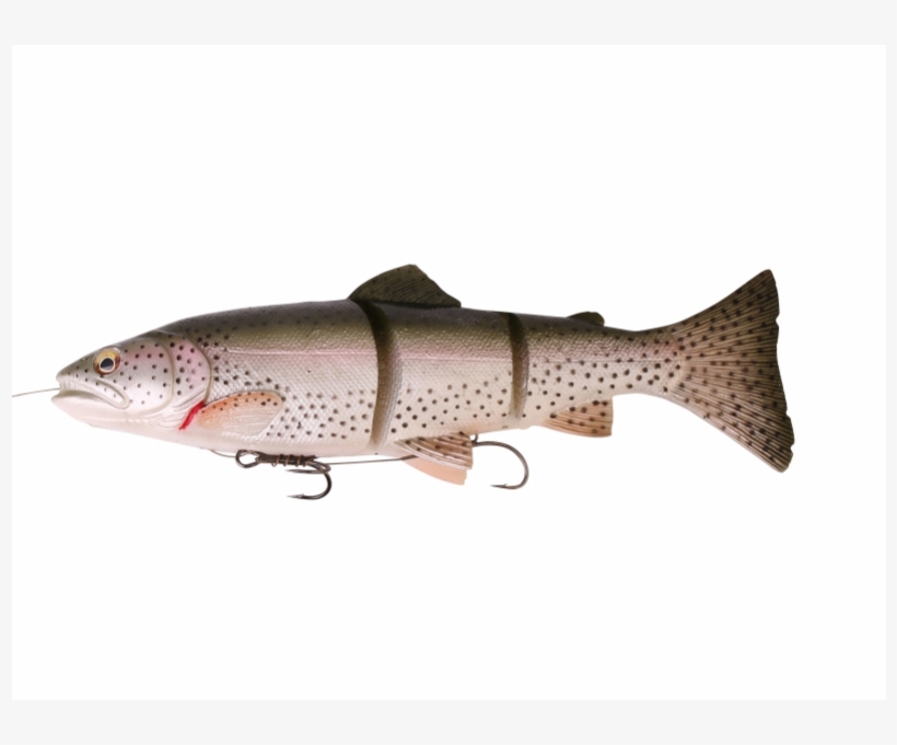 Sg 3d Line Thru Trout 30cm 303g Ms - Trout 3d Savage Gear, transparent png