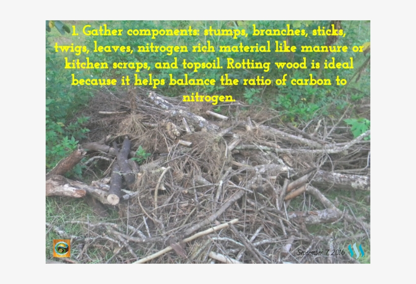 Here Are 4 Steps For How To Build A Hugel Mound - Root, transparent png