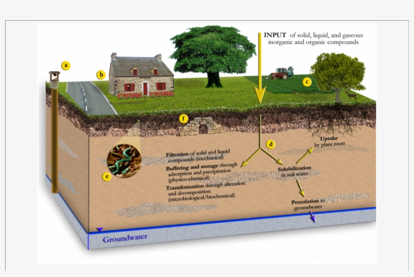 Schematic Illustration Of The Different Functions Of - Environmental Soil Science, transparent png