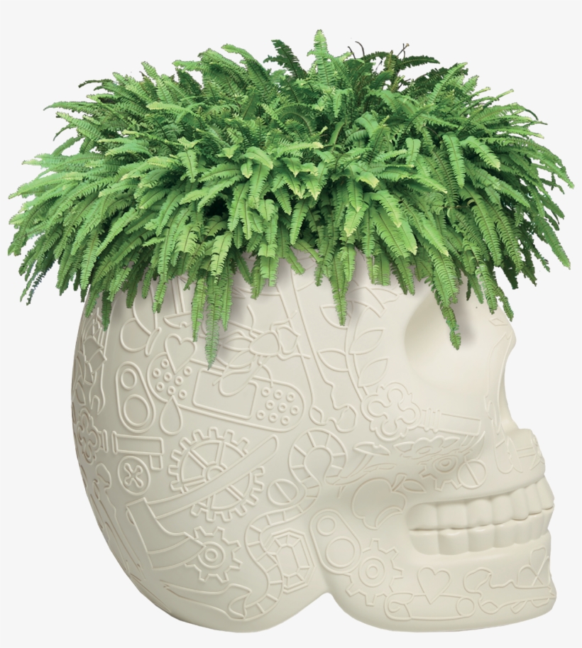 02 Qeeboo Mexico Planter Champagne Cooler By Studio - Qeeboo Skull Planter, transparent png