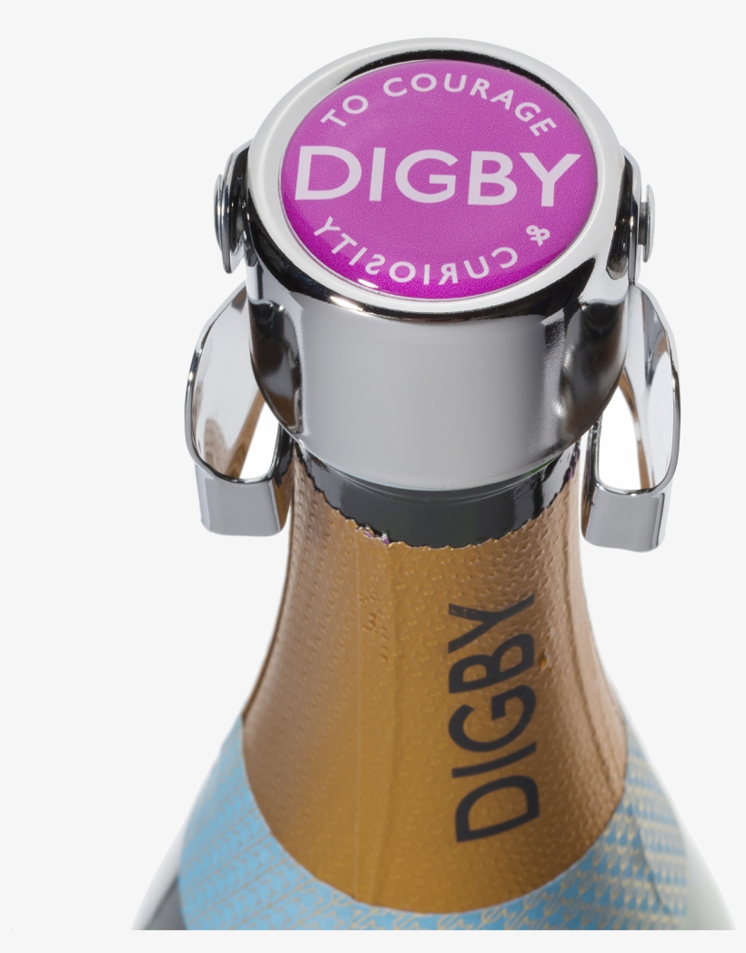 Fizz Stopper - Bung, transparent png