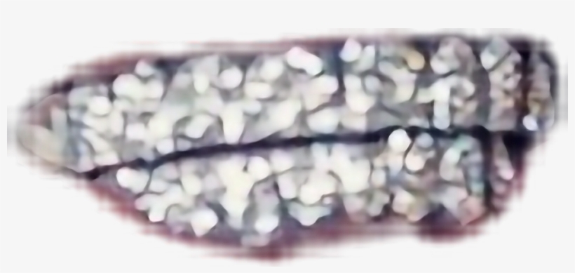 Report Abuse, transparent png