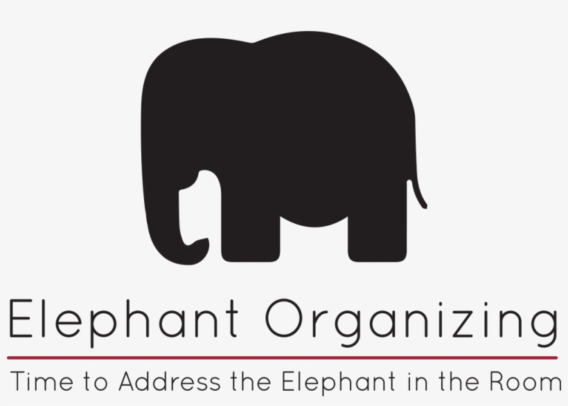 Professional Organizer, transparent png