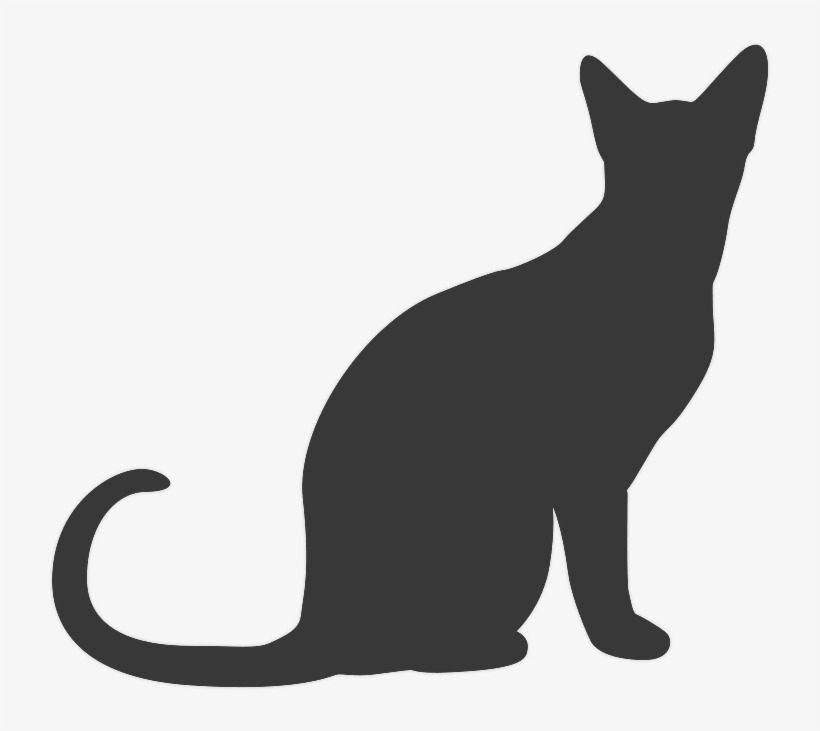 There's A Sad Cat Looking Out A Window At Me - Sitting Cat Silhouette Png, transparent png