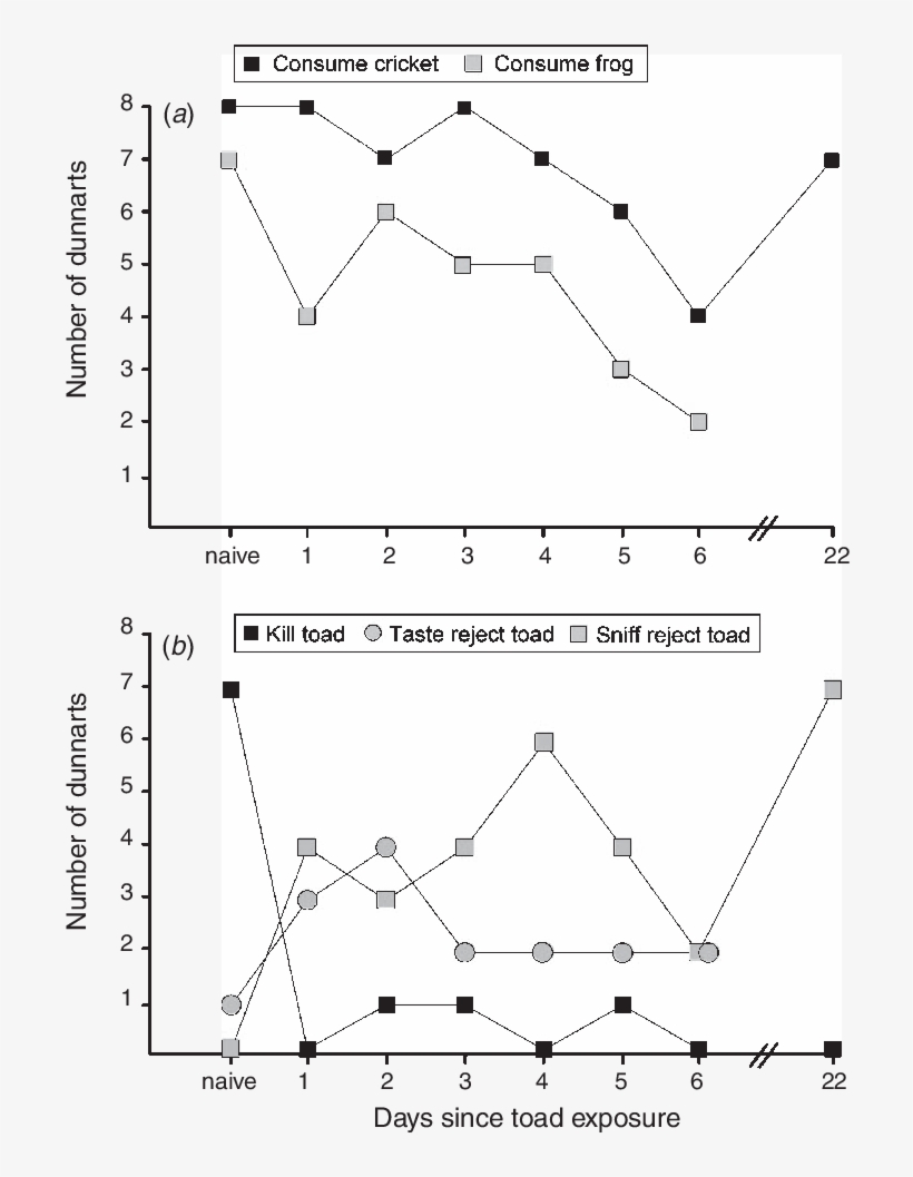 The Number Of Dunnarts That Attacked And Consumed Crickets - Diagram, transparent png