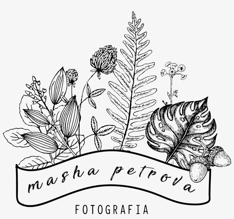 Fotografía Bodas Alicante - Alicante, transparent png