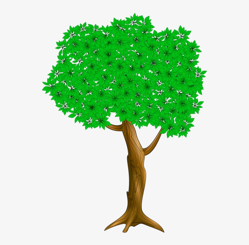 I Had A Little Nut Tree Nursery Rhyme Nutmeg - Illustration, transparent png