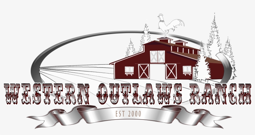 Looking For Karakachan Livestock Guardian Puppies For - Retro W Letter Canvas Lunch Bag, transparent png