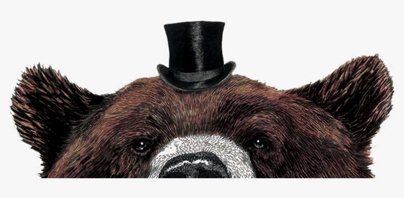 Bear Final - Jpeg, transparent png
