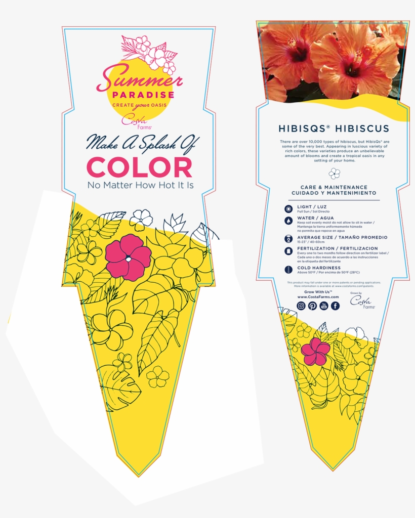 One With New Slogan With More Photography - Floral Design, transparent png