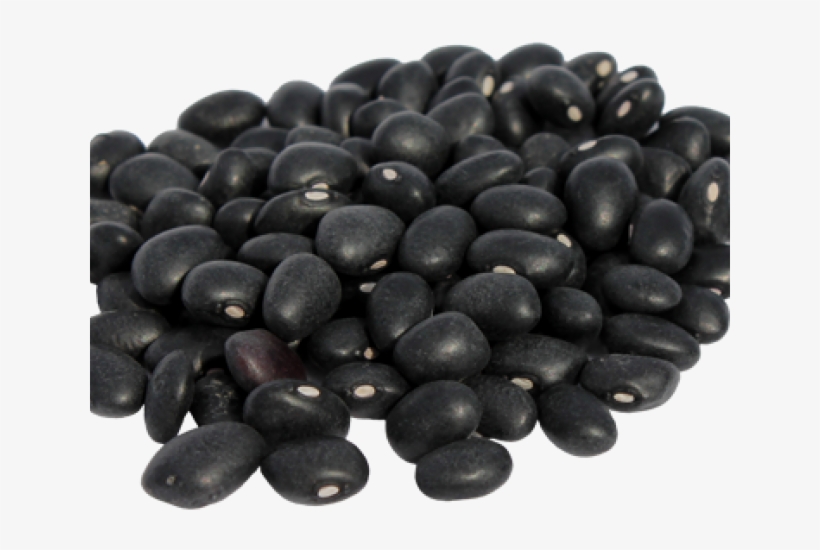 Velvet Bean In Urdu, transparent png